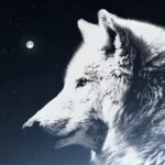 La leggenda Cherokee del lupo bianco e del lupo nero